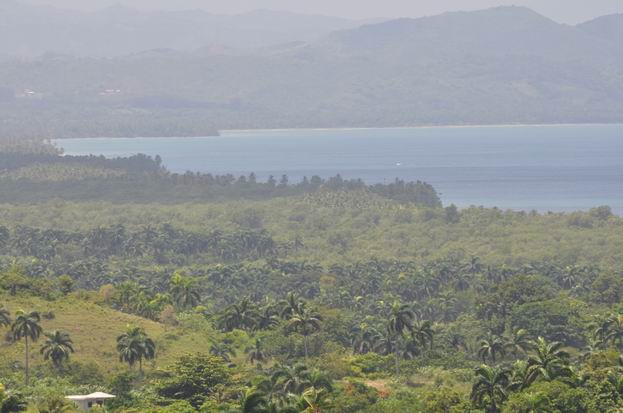 Участок земли  в Доминикане, недвижимость в Доминиканской Республике