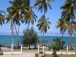 отдых в Доминикане, Апартаменты Белый Попугай, Доминикана аренда апартаментов в Доминикане, отдых в Доминиканской Республике