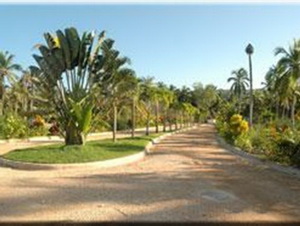 отдых в Доминикане, Вилла Золотой Пляж, Доминикана покупка, продажа, аренда виллы в Доминикане, отдых в Доминиканской Республике