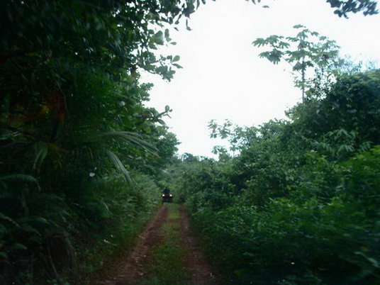  ,    ,  ,    , ,  ,    