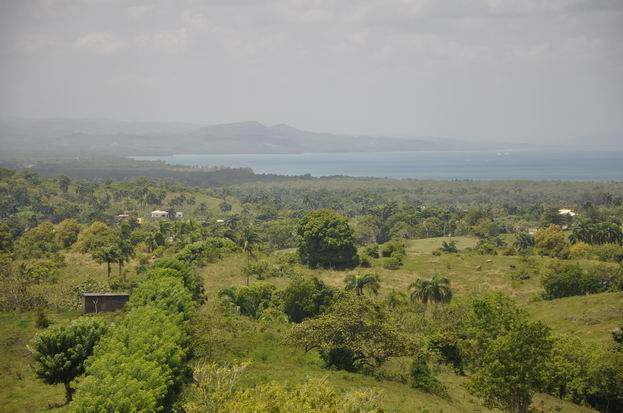 Участок земли  в Доминикане, недвижимость в Доминиканской Республике